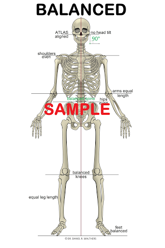 24×26 Sample Balanced tan spine