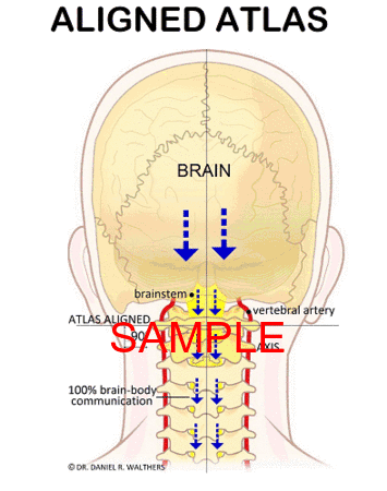 Sample GIF Brain Body Communication